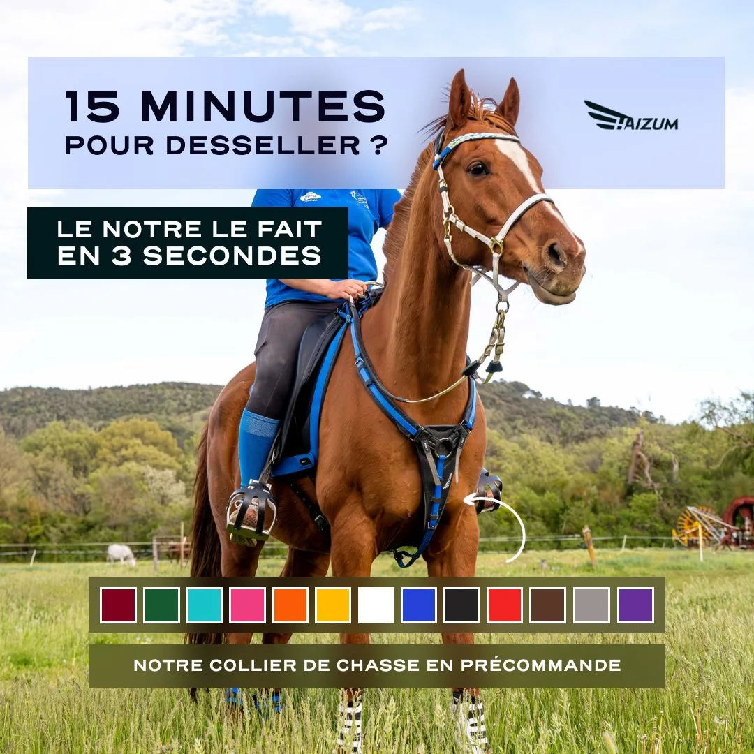 Haizum ad, equestrian gear